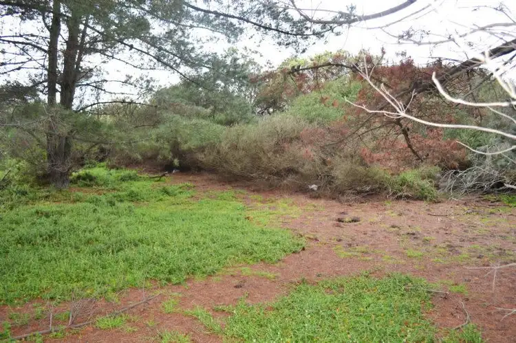 Main view of Homely land listing, 53 Alfred Crescent, Venus Bay VIC 3956