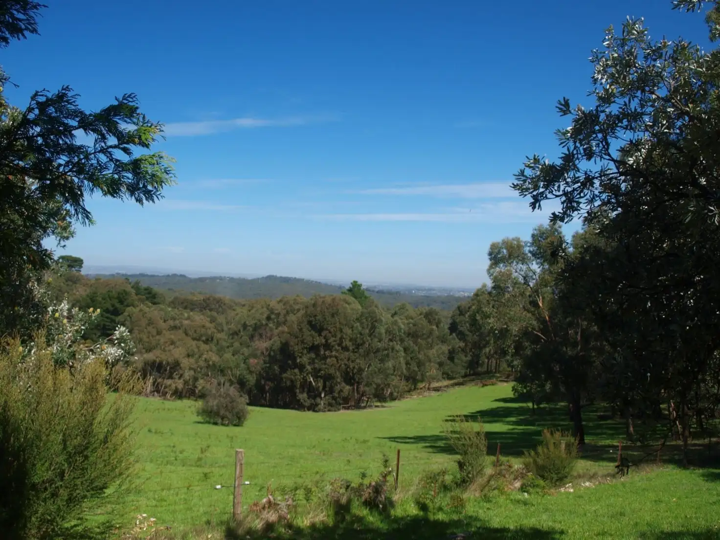Main view of Homely rural property listing, 410 Dickie Road, Officer VIC 3809