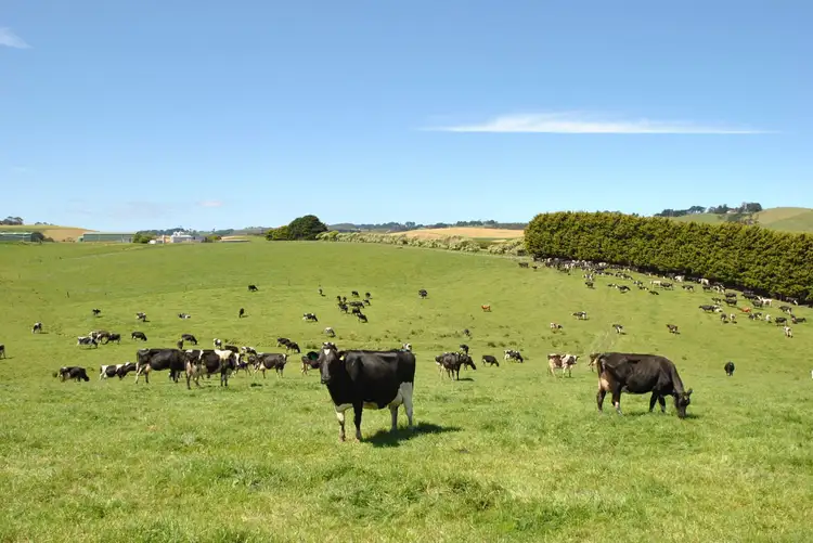 Main view of Homely rural property listing, 385 FALLS ROAD, Fish Creek VIC 3959