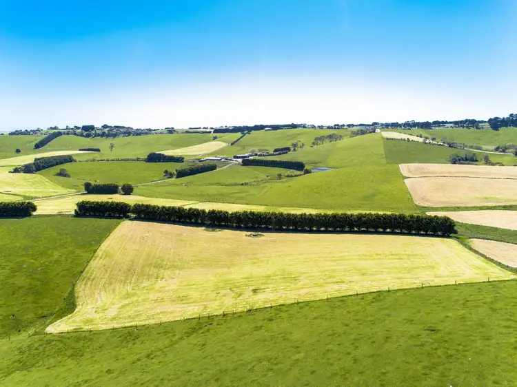 Third view of Homely rural property listing, 385 FALLS ROAD, Fish Creek VIC 3959