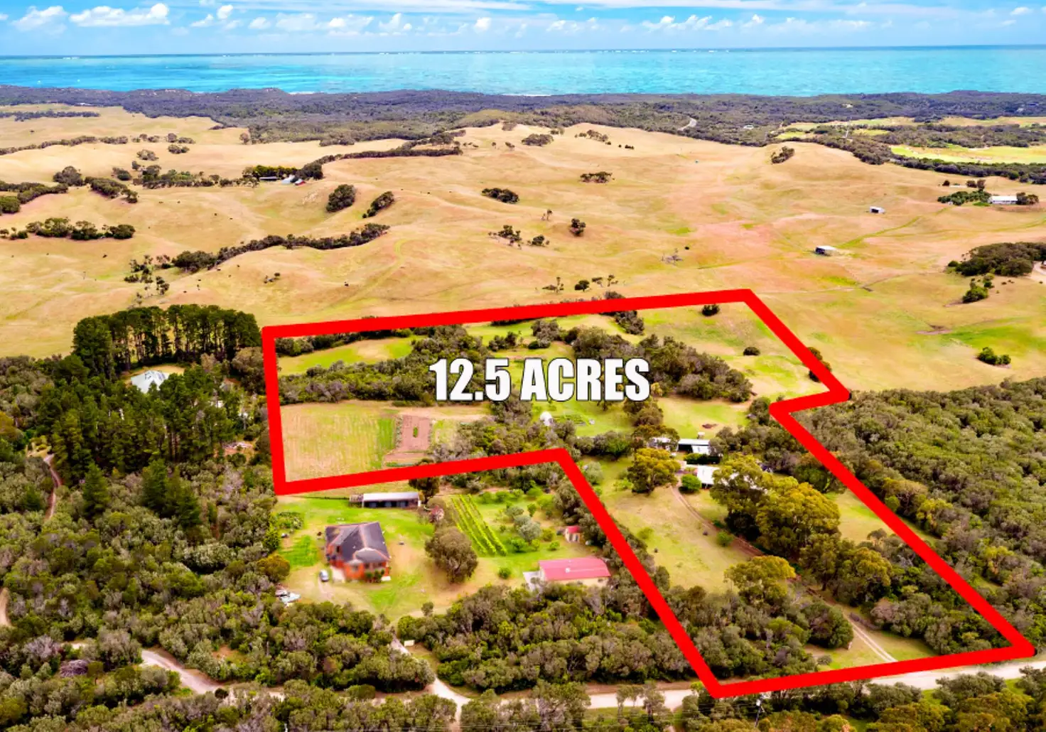 Main view of Homely house listing, 185 Maxwell Road, Fingal VIC 3939