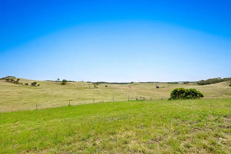 Second view of Homely house listing, 185 Maxwell Road, Fingal VIC 3939