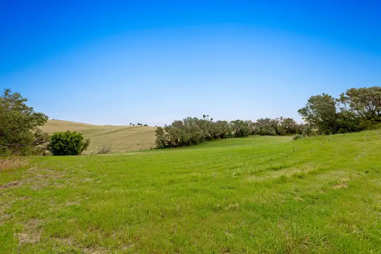 Third view of Homely house listing, 185 Maxwell Road, Fingal VIC 3939