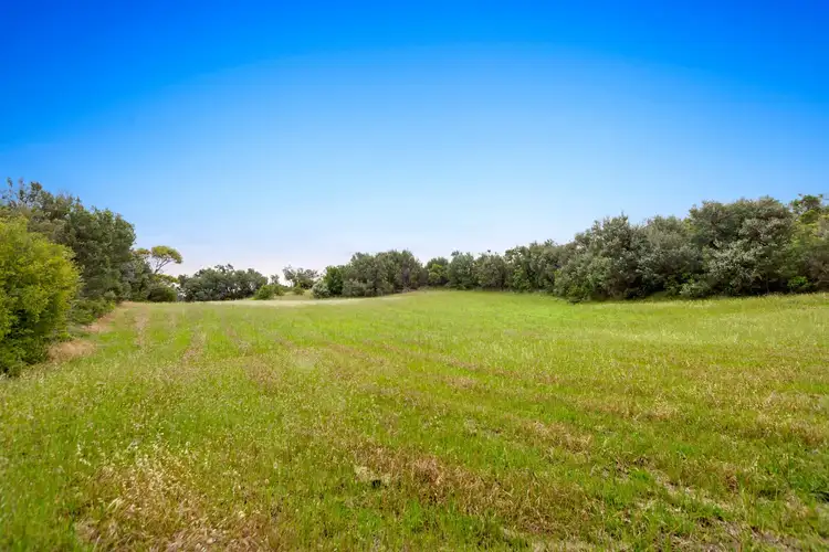 Fourth view of Homely house listing, 185 Maxwell Road, Fingal VIC 3939