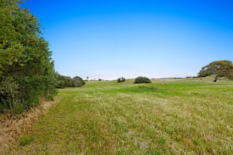 Fifth view of Homely house listing, 185 Maxwell Road, Fingal VIC 3939