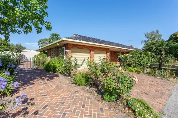Main view of Homely house listing, 3 Tresize Court, Lang Lang VIC 3984