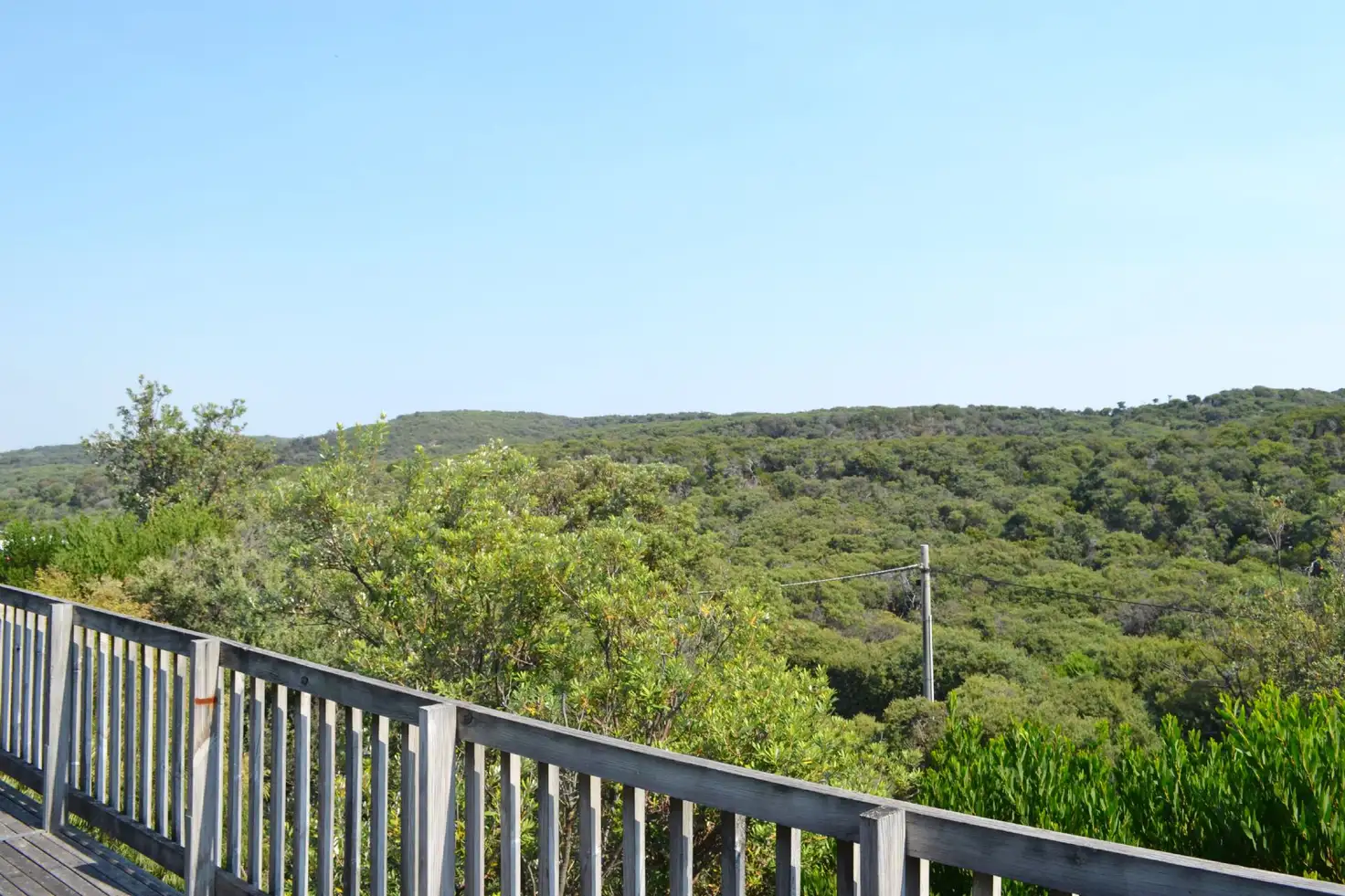 Main view of Homely house listing, 36 Zenner Drive, Venus Bay VIC 3956