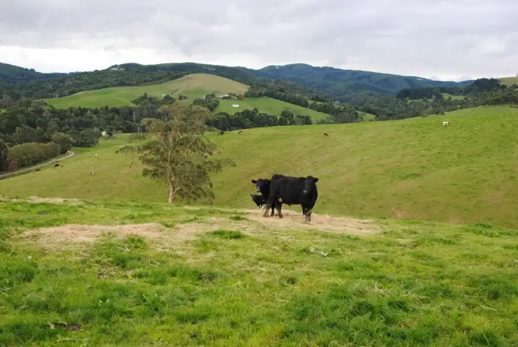 Fifth view of Homely rural property listing, 1 CRUIKSHANKS ROAD, Woorarra VIC 3962