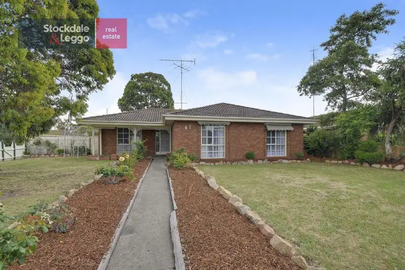 Main view of Homely house listing, 41 Wirilda Crescent, Traralgon VIC 3844