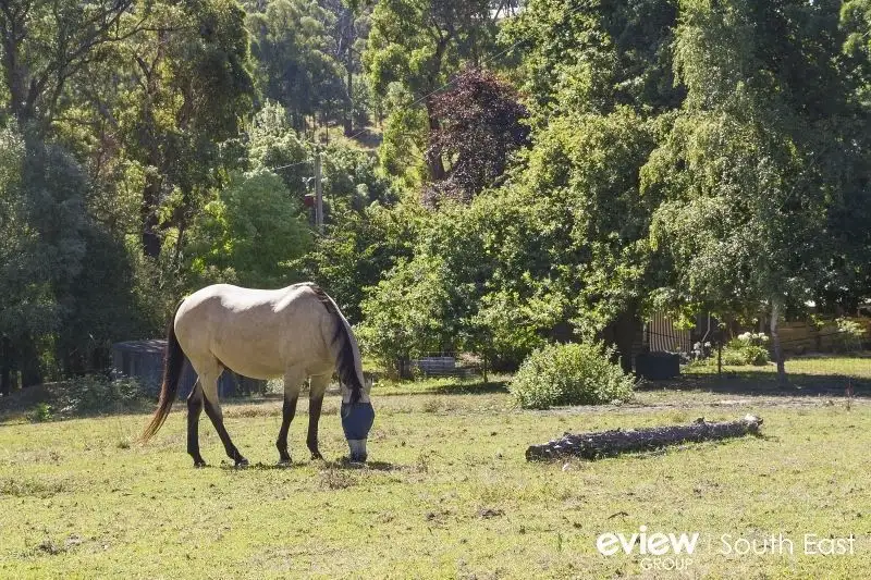 Main view of Homely rural property listing, 90 Olsen Road, Nar Nar Goon North VIC 3812