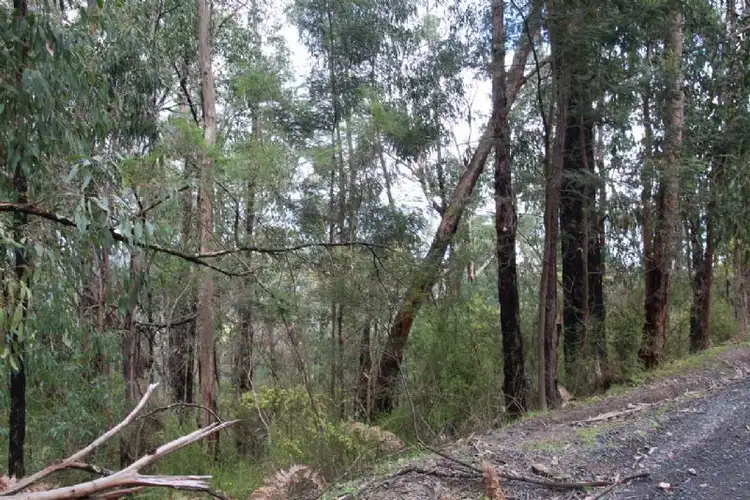 Fourth view of Homely land listing, 47 Warringah Drive, Chum Creek VIC 3777