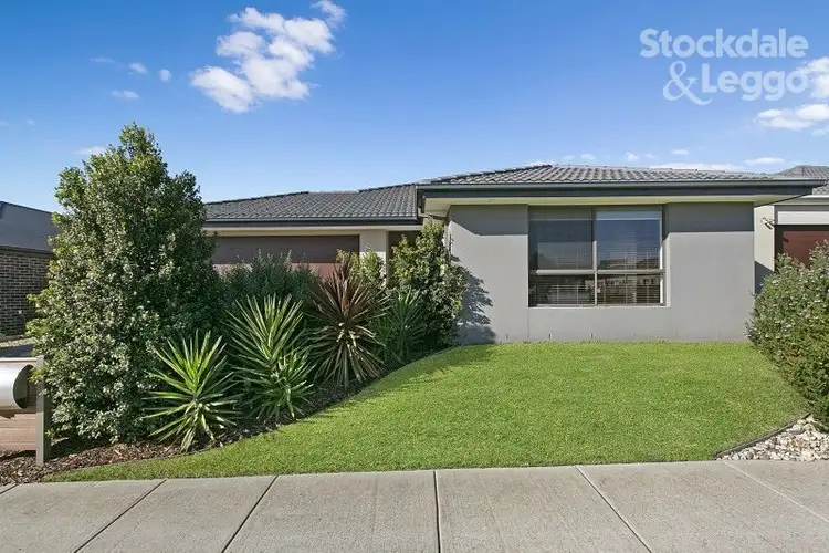 19 Buckskin Drive, Clyde North VIC 3978