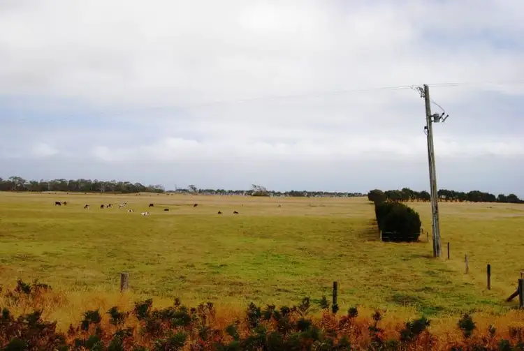 Third view of Homely rural property listing, 530 TELEGRAPH ROAD, Hedley VIC 3967
