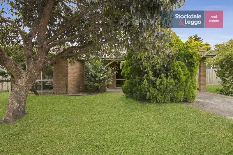 Main view of Homely house listing, 12 Plaistow Court, Cranbourne North VIC 3977