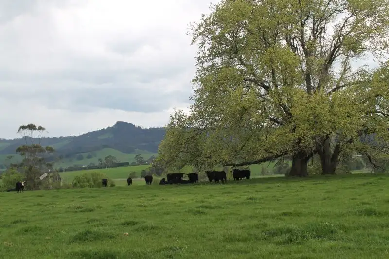 Main view of Homely rural property listing, 400 BULLSWAMP, Warragul VIC 3820