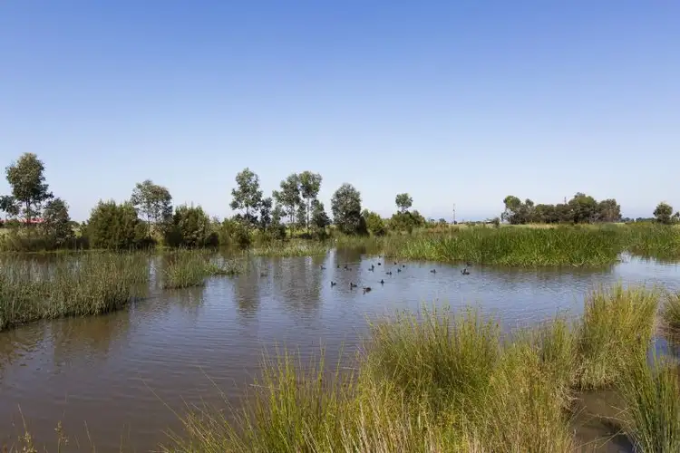 Seventh view of Homely house listing, 50 Bailey Boulevard, Koo Wee Rup VIC 3981