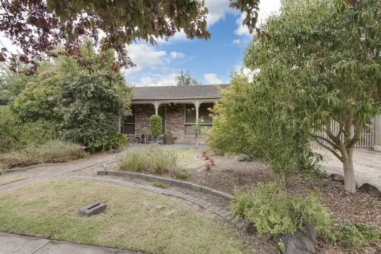 Main view of Homely house listing, 131 Warrandyte Road, Langwarrin VIC 3910