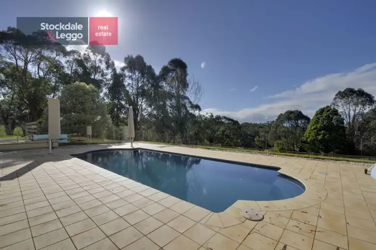 Second view of Homely rural property listing, 12 Samantha Avenue, Moe South VIC 3825