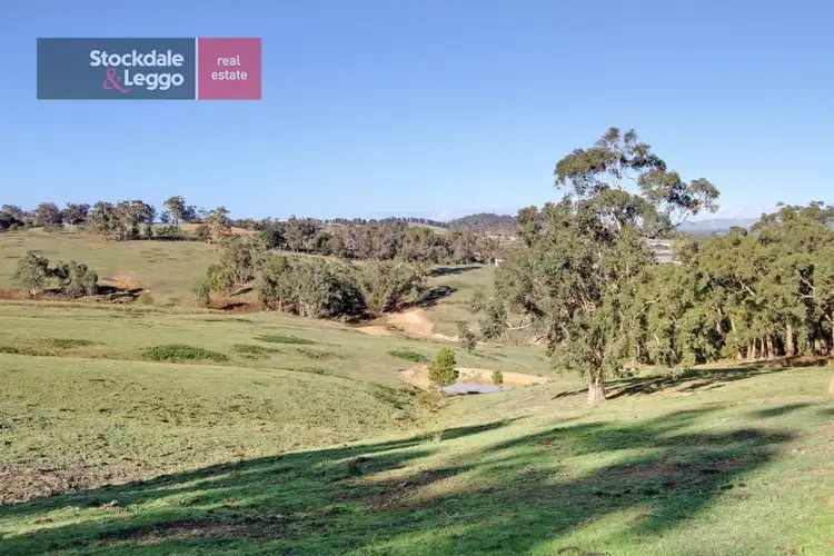 Main view of Homely house listing, 265 Schoolhouse Road, Hoddles Creek VIC 3139