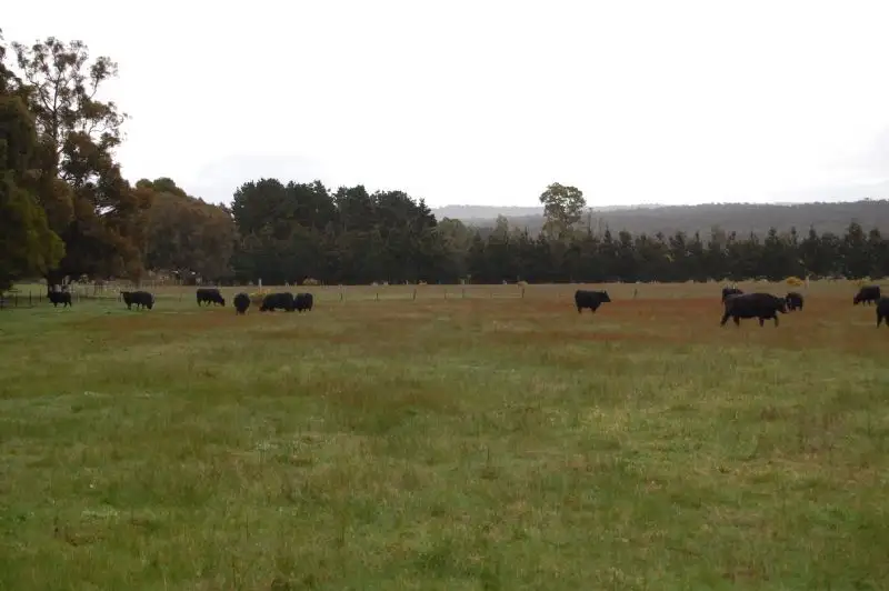 Main view of Homely land listing, 60a Grevillea Drive, Enfield VIC 3352