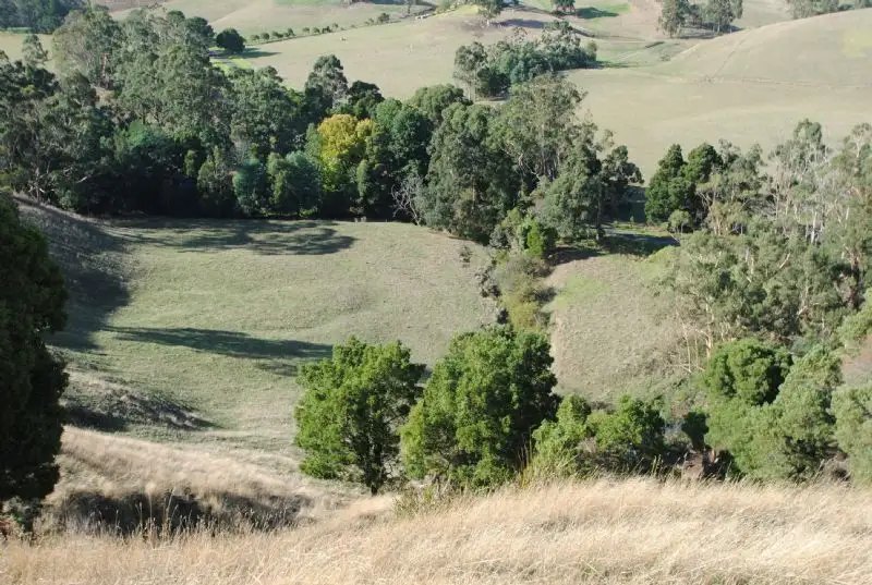 Main view of Homely rural property listing, 199 BERRYS CREEK ROAD, Berrys Creek VIC 3953