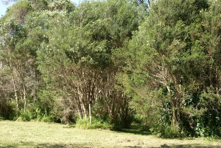 Sixth view of Homely house listing, 44 Cannons Creek Rd, Cannons Creek VIC 3977