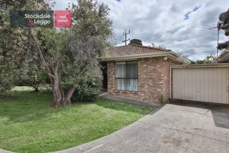 Main view of Homely unit listing, 7/41-43 Dublin Road, Ringwood East VIC 3135