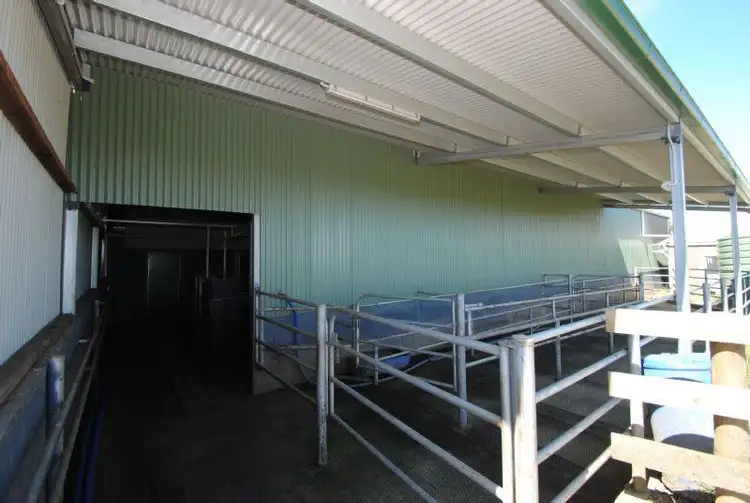 Seventh view of Homely rural property listing, 265 RACECOURSE ROAD, Leongatha VIC 3953