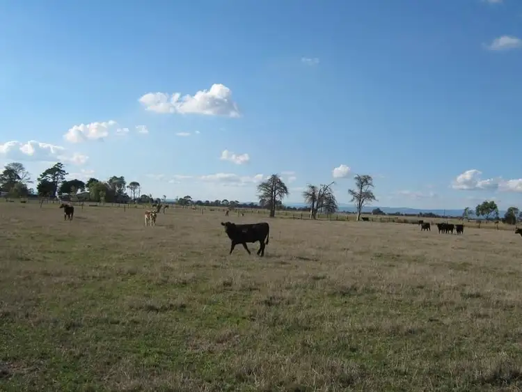 Second view of Homely rural property listing, Lot 4/145 COLEMANS ROAD, Lang Lang VIC 3984