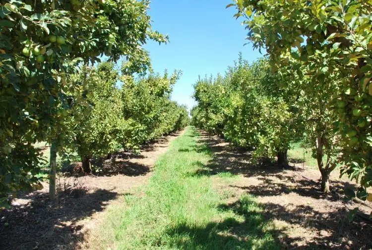 Seventh view of Homely rural property listing, 160 Prentice Road, Shepparton East VIC 3631