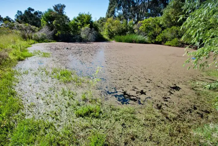 Fourth view of Homely rural property listing, Lot 2 280 McCraws Road, Wattle Bank VIC 3995