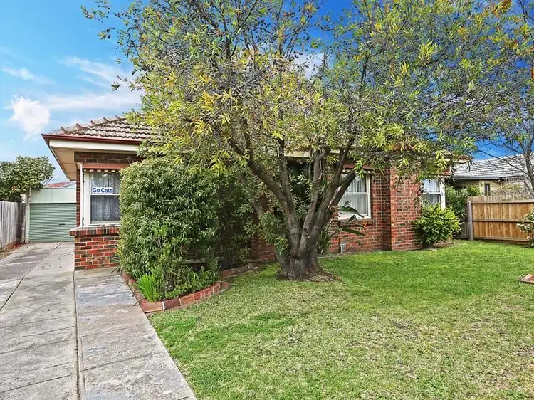 16 Martin Street, East Geelong VIC 3219