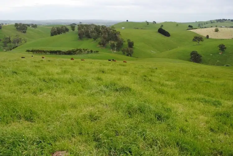 Seventh view of Homely rural property listing, 176 KUHNES ROAD, Mardan VIC 3953