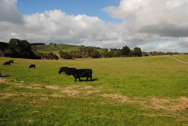 Second view of Homely rural property listing, 46 STUBBERS LANE, Mirboo North VIC 3871