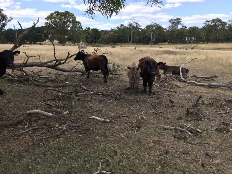 Fourth view of Homely land listing, 60a Grevillea Drive, Enfield VIC 3352