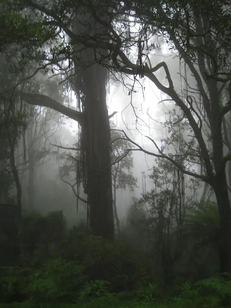 Second view of Homely rural property listing, 195 DOLLAR-WOORARRA WEST ROAD, Foster VIC 3960