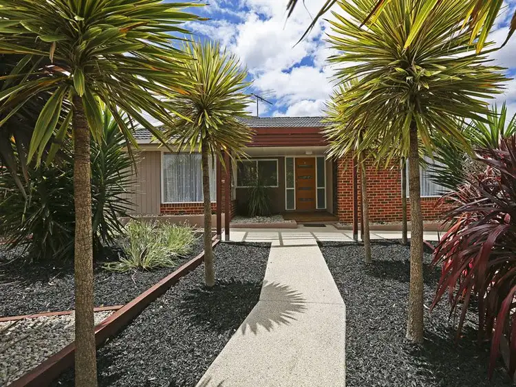 Main view of Homely house listing, 19 Fairfield Avenue, Belmont VIC 3216