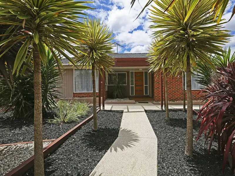 Main view of Homely house listing, 19 Fairfield Avenue, Belmont VIC 3216