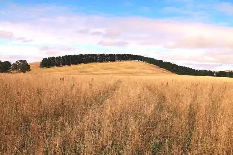 Third view of Homely rural property listing, 466 CLANCYS ROAD, Korumburra VIC 3950