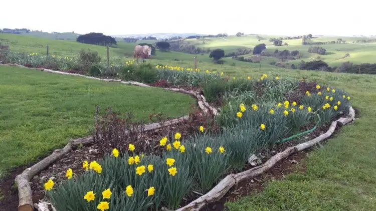 Sixth view of Homely rural property listing, 815 RUBY-ARAWATA ROAD, via, Korumburra VIC 3950