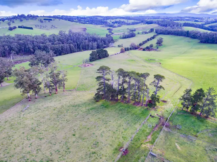 Second view of Homely rural property listing, 24 Shorthouses Road, Shady Creek VIC 3821
