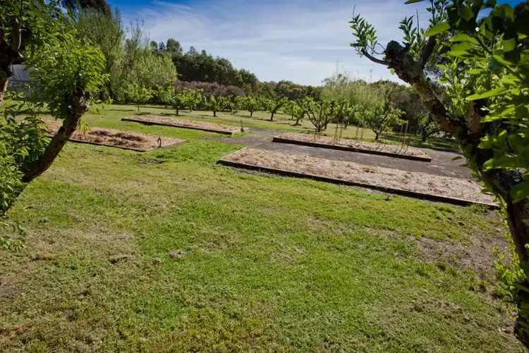 Second view of Homely rural property listing, Lot 2 280 McCraws Road, Wattle Bank VIC 3995