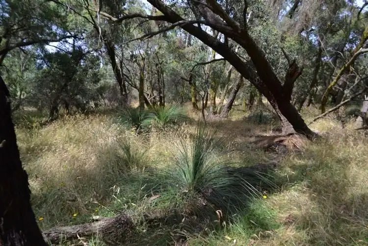 Sixth view of Homely rural property listing, Lot 2 Emma Lane, Inverloch VIC 3996