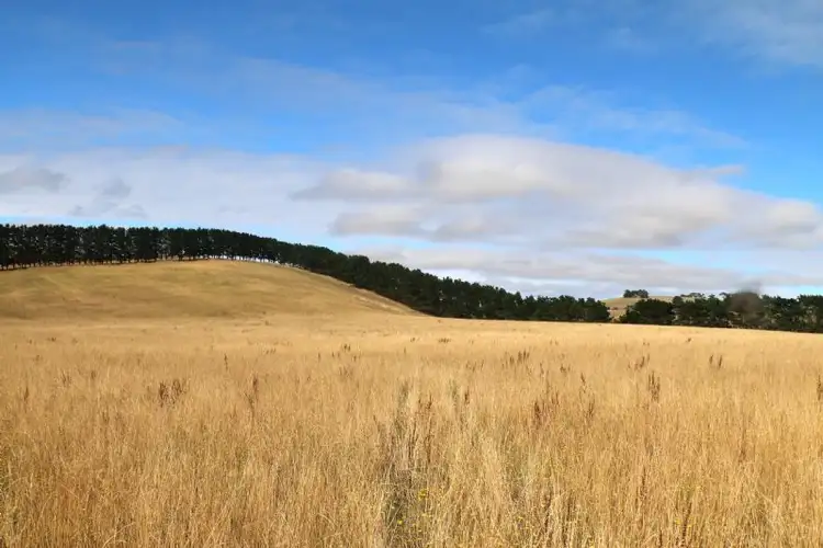 Fourth view of Homely rural property listing, 466 CLANCYS ROAD, Korumburra VIC 3950