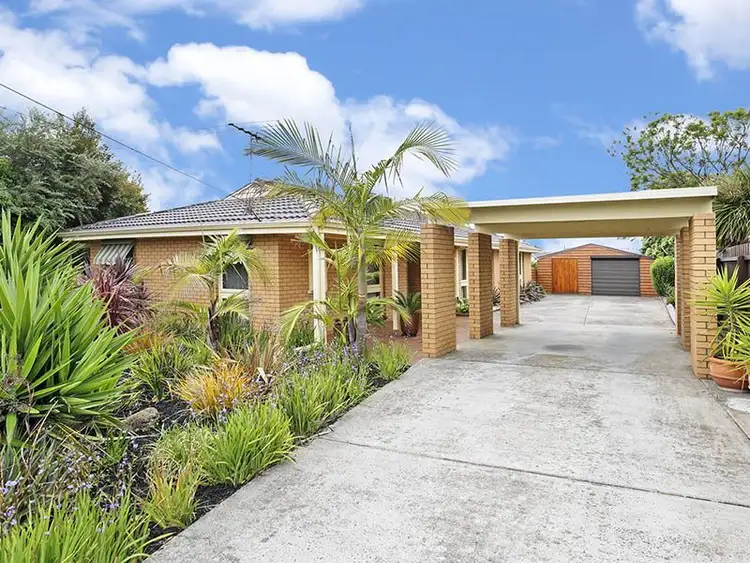 3 Armitage Court, Belmont VIC 3216