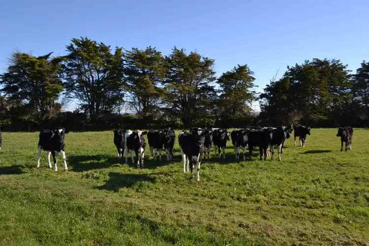 Main view of Homely rural property listing, Lot 2/335 Outtrim Inverloch Rd, Outtrim VIC 3951