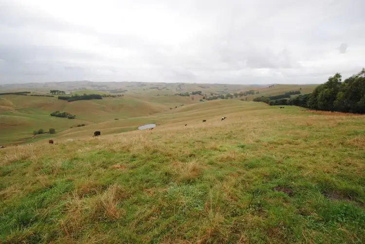 Main view of Homely rural property listing, 15 TWITES ROAD, Bena VIC 3946