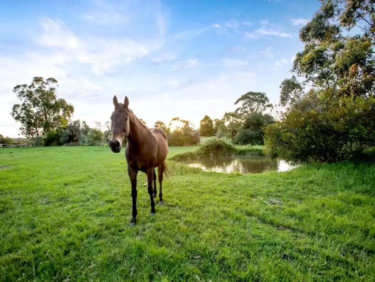 Fifth view of Homely house listing, 3 Grassmere Road, Langwarrin VIC 3910