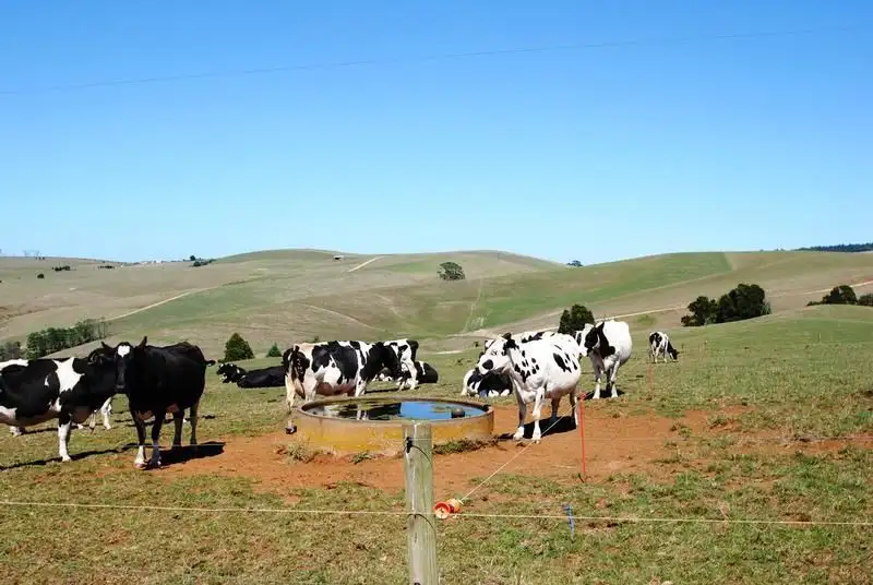 Main view of Homely rural property listing, 245 DENHAMS ROAD, Hallston VIC 3953