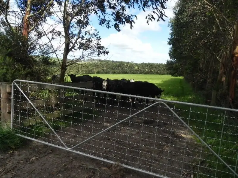 Main view of Homely rural property listing, LOT 1 KERNOT ROAD, Kernot VIC 3979